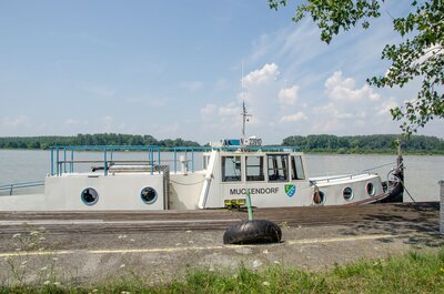 Donau-Hafen Muckendorf