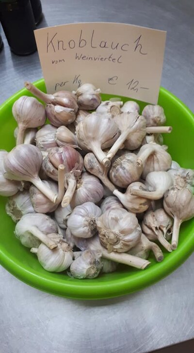 Knoblauch vom Weinviertel