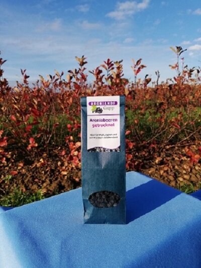 Aroniabeeren getrocknet