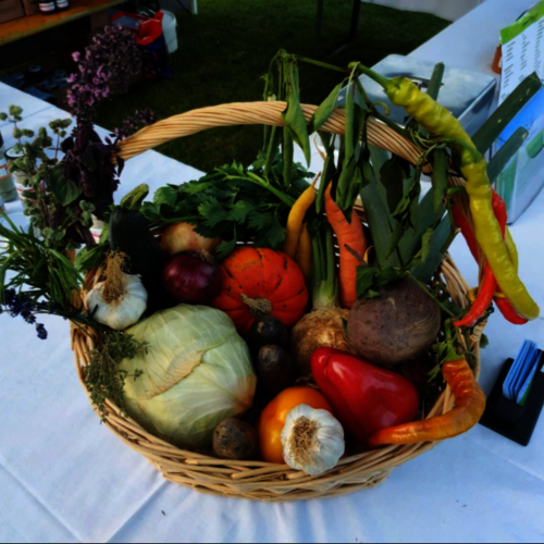 Regionale und saisonale Vielfalt: allerlei Obst und Gemüse dekorativ in einem Weidekorb