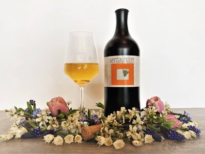 Weinbau Holzer