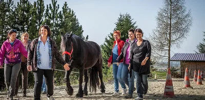 Teambuilding - Firmen - Mitarbeitercoaching