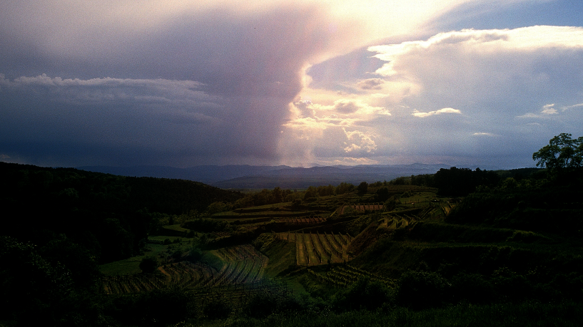 © Weingut Josef Fritz Ansicht Rieden © Weingut Josef Fritz