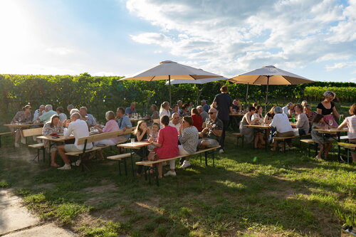 Events im Weingarten