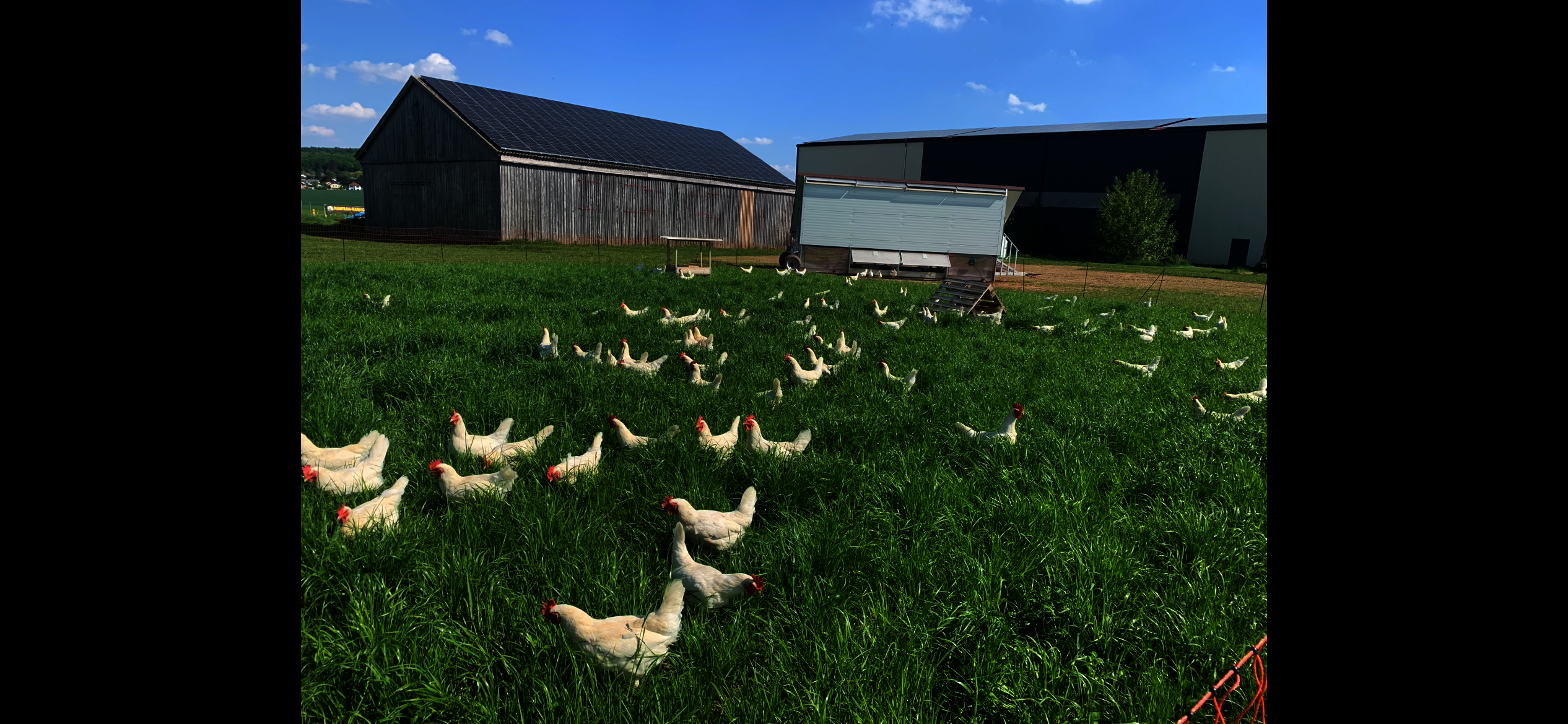 glückliche Mädls? Gibt's bei uns!