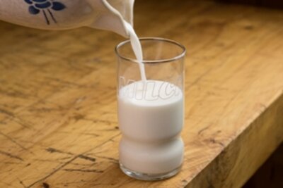 Rohmilch bio