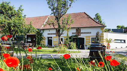 Hofansicht mit Bäumen und Mohnblumen© Hauleitner