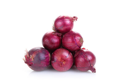 Zwiebel rot