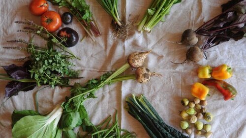 verschiedenes Gemüse© Birgit Kaas & Franco Baumeler