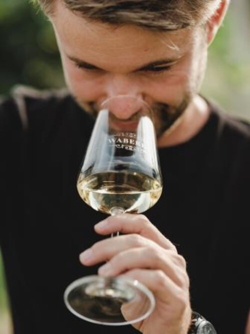 Weingut Waberer_Waberer, ReidingerWeingut Waberer_Waberer, Reidinger