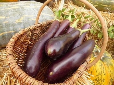 Melanzani