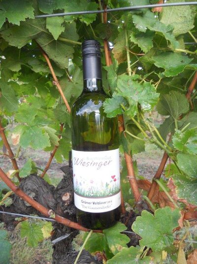 Gaunersdorfer - Grüner Veltliner