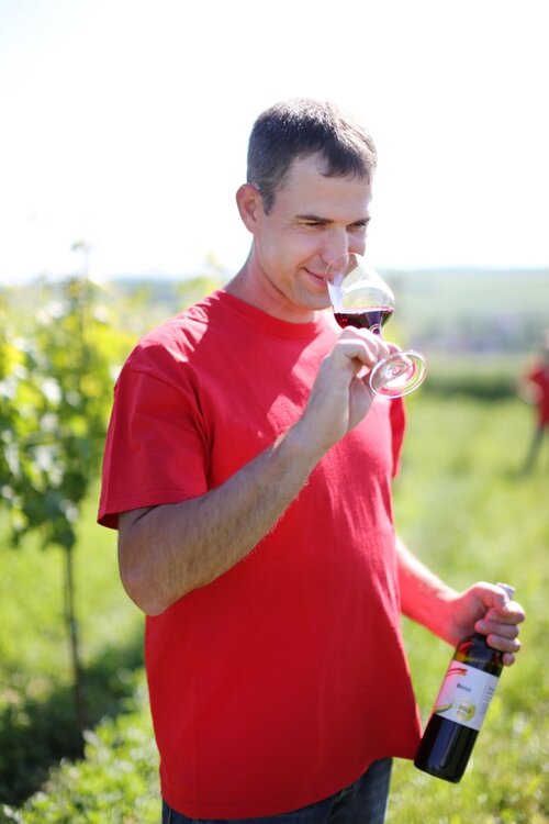 Winzer Bernhard - ScheinerWeinWinzer Bernhard - ScheinerWein