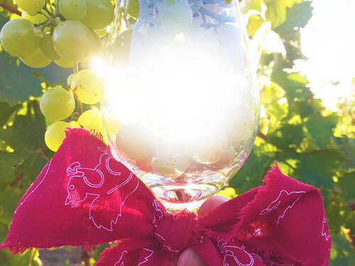 Weingut Reitmayer_Weingut ReitmayerWeingut Reitmayer_Weingut Reitmayer