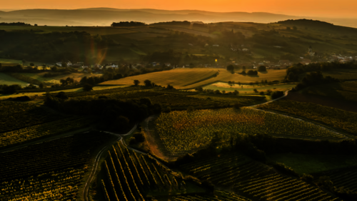 Luftbild Wagram© Fabian Krempus, Florian Mair