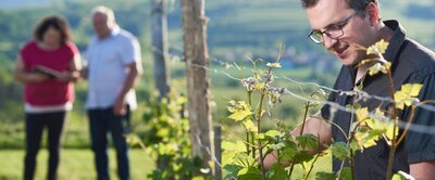 Weinhof FINK