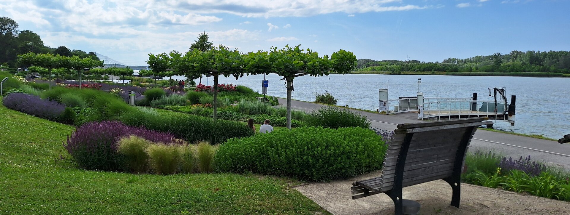 Sicht über begrünten Nibelungenplatz und Donau