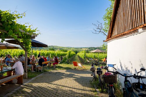 Weinlaube in der Maulvern