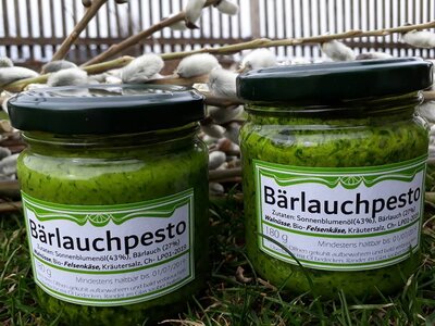 Bärlauchpesto