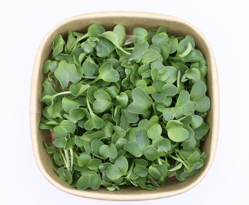 Daikon Rettich geschnitten