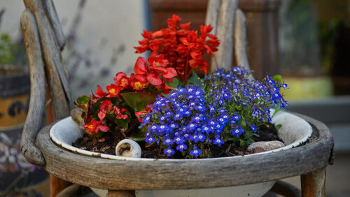 Blumentopf© Winzerhof Holzheu Familie Heigl