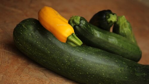 Zucchini grün und gelb© Franzlbauer Franz Hascher