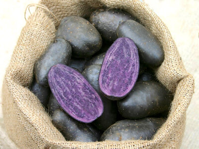 Erdäpfel Violetta