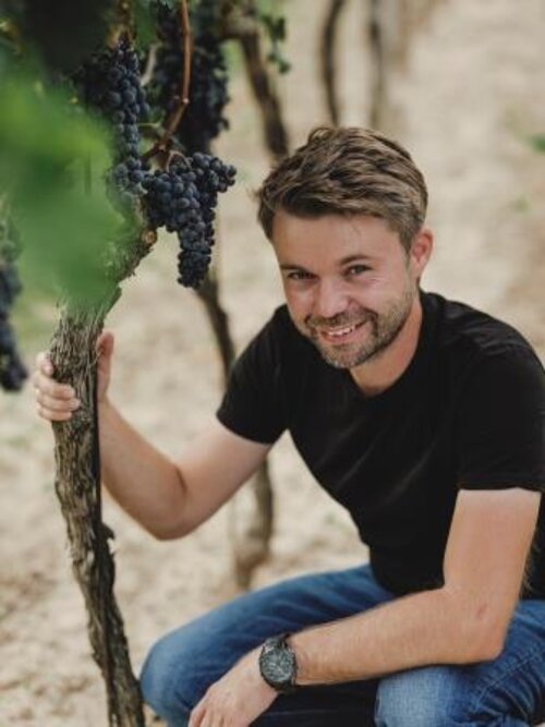 Weingut Waberer_Waberer, ReidingerWeingut Waberer_Waberer, Reidinger