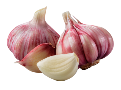 Knoblauch