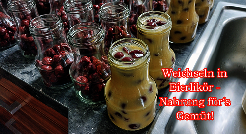 Weichseln in Eierlikör