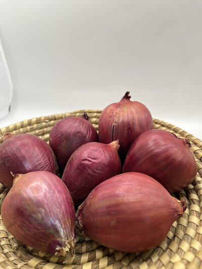 Zwiebel rot