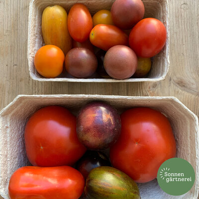 Tomaten