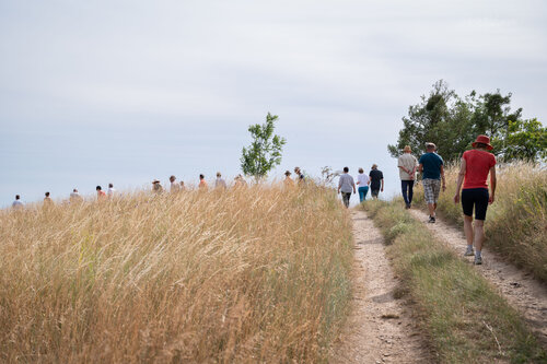 Wandern am Weinweg