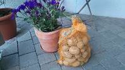 Kartoffel