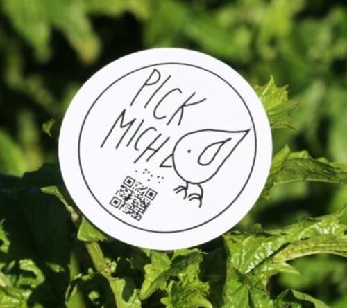 Pickmich_ConnySchuetzPickmich_ConnySchuetz