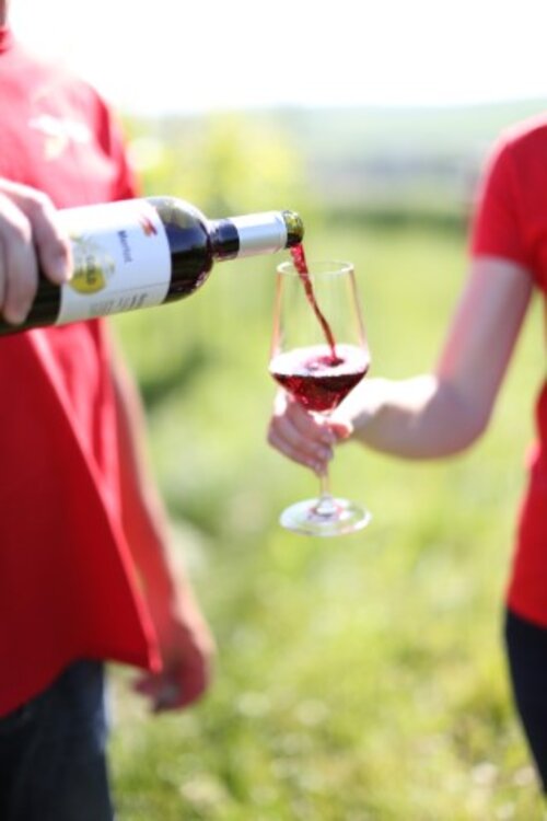 ScheinerWein RotweinScheinerWein Rotwein