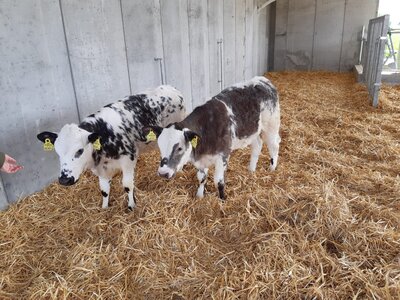 Hofladen Familie Walzer