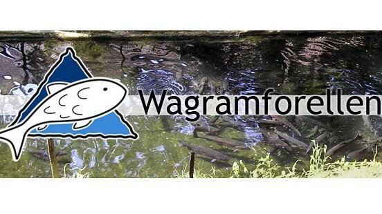 © Wagramforellen Andreas und Karl Hengl Forellen im Wasser mit Logo und Schriftzug Wagramforellen© Wagramforellen Andreas und Karl Hengl