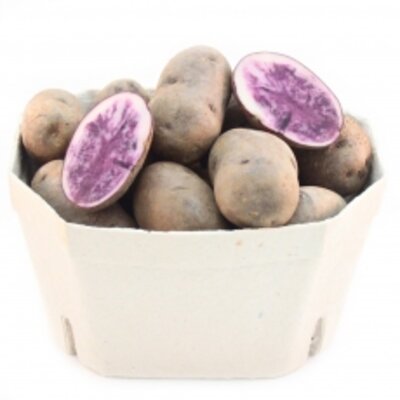 Blaue Salad Potato (Erdäpfelrarität)