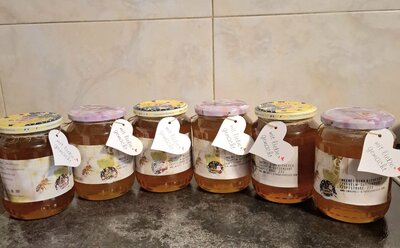 Wald mit Blüten Honig in 1kg, 0,5kg oder 0,25kg Gläser