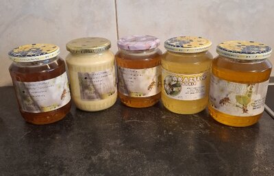 Akazienhonig in 1kg, 0,5kg oder 0,25kg Gläser