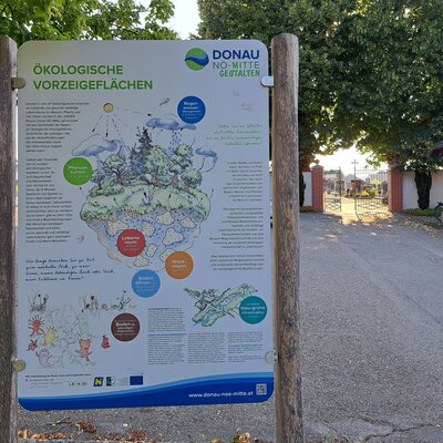 Ökolog. Vorzeigefläche Perschling