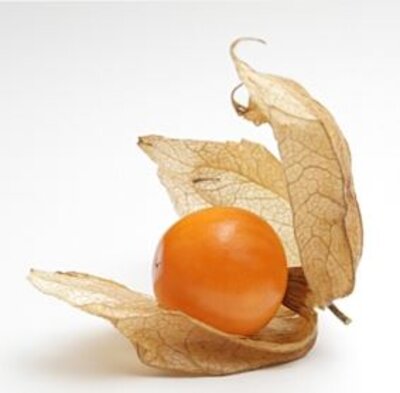 Bio Goldbeeren