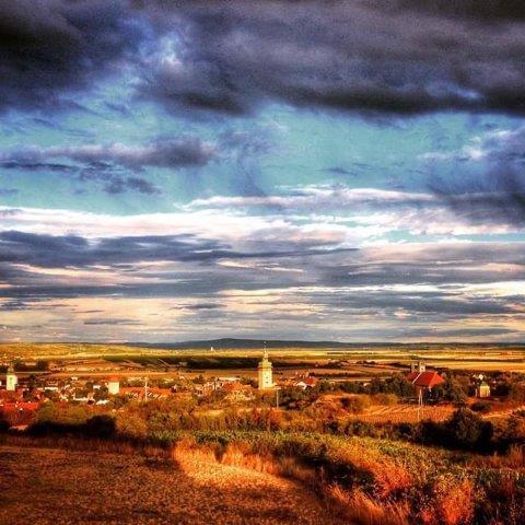 Betriebsbild_Weingut Schnabl