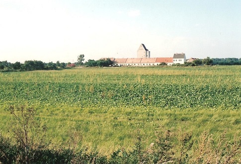 Bio-Gut Blaustauden