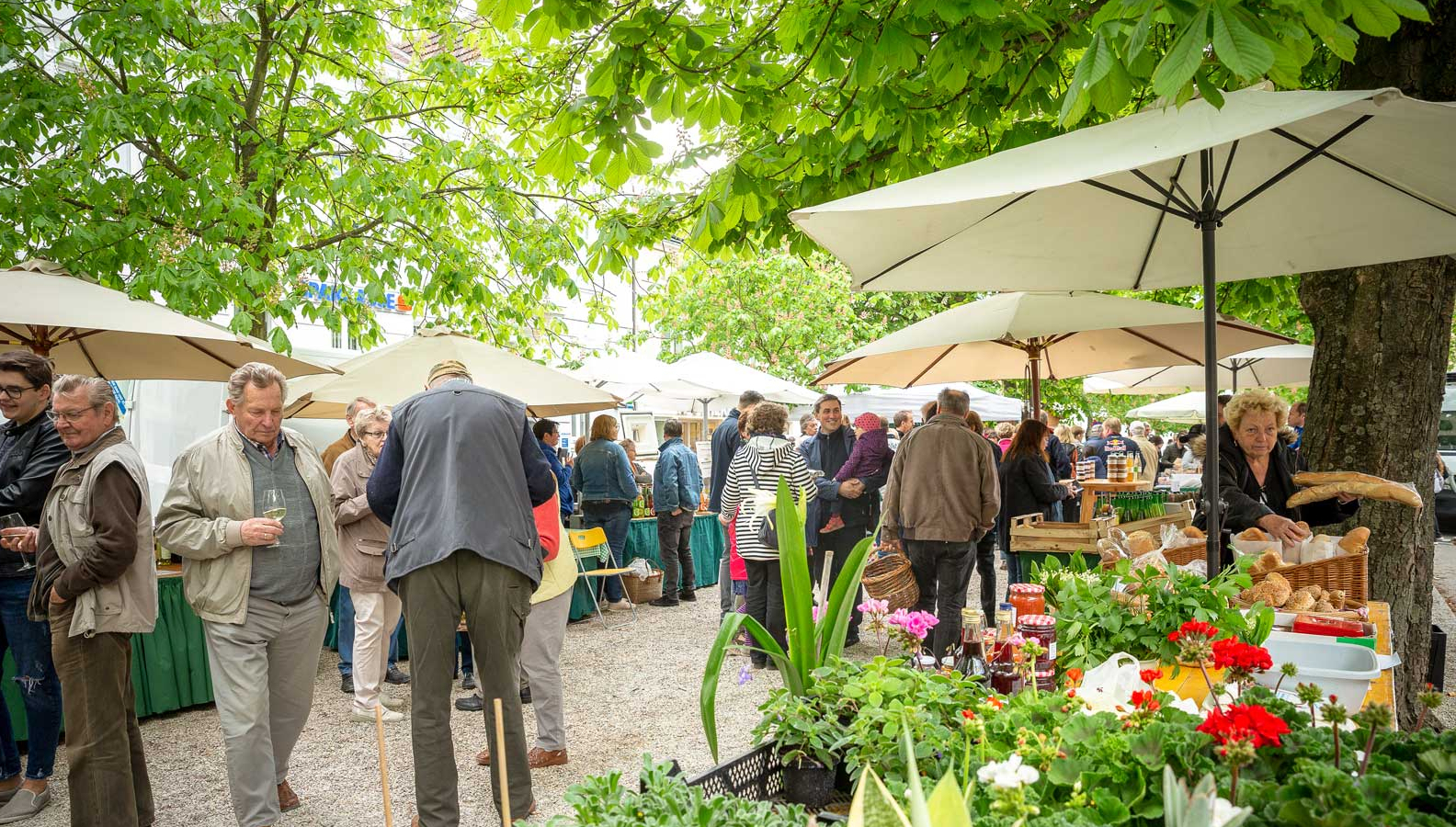 Foto vom Kirchberger Naschmarkt Foto vom Kirchberger Naschmarkt