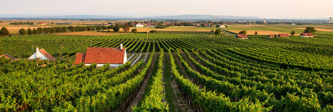 © Marktgemeinde Grafenwörth © Marktgemeinde Grafenwörth