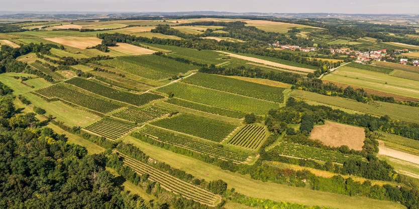 © Robert Herbst, Donau Niederösterreich, Kamptal - Wagram - Tullner Donauraum © Robert Herbst, Donau Niederösterreich, Kamptal - Wagram - Tullner Donauraum