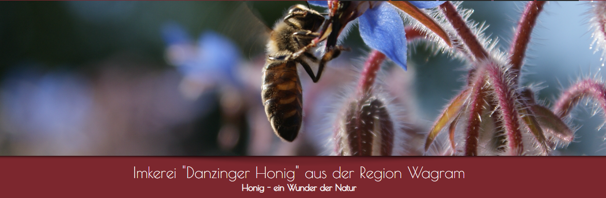 © Danzinger © Danzinger