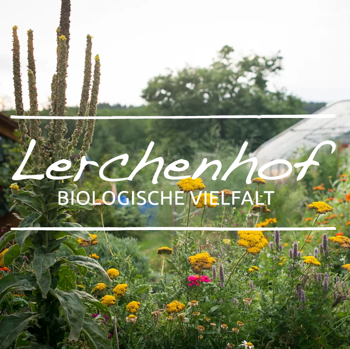 Bio-Bauernhof Lerchenhof